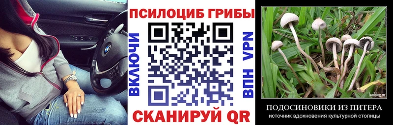 Галлюциногенные грибы Magic Shrooms  хочу наркоту  Духовщина 